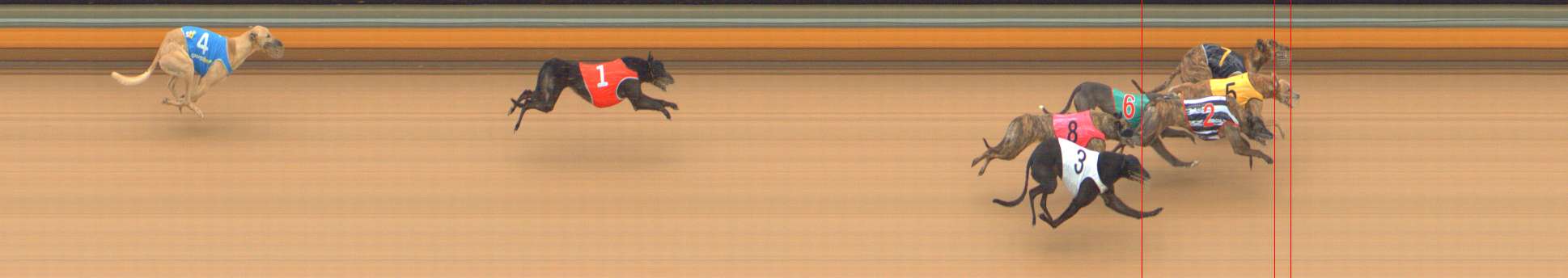 Photo finish for Bendigo Race 8