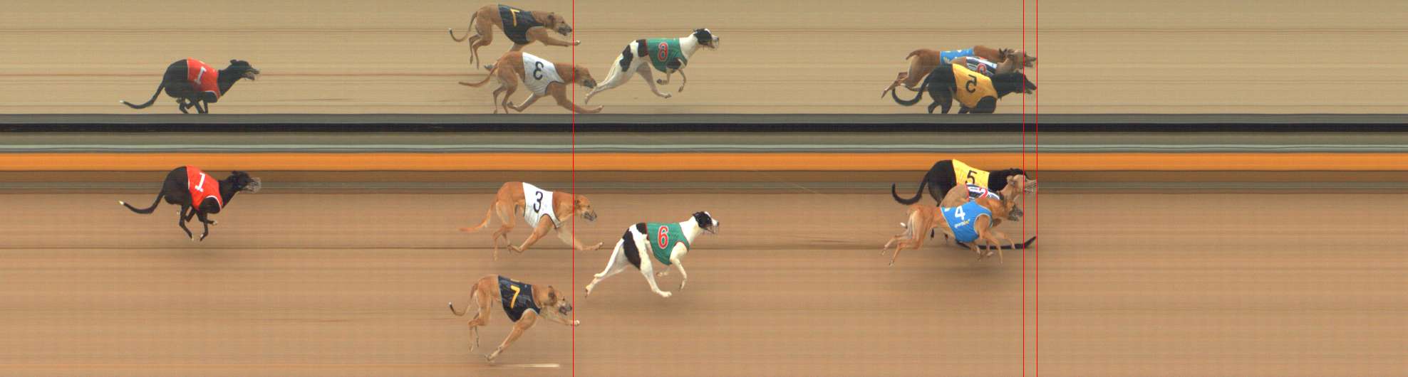 Photo finish for Bendigo Race 10