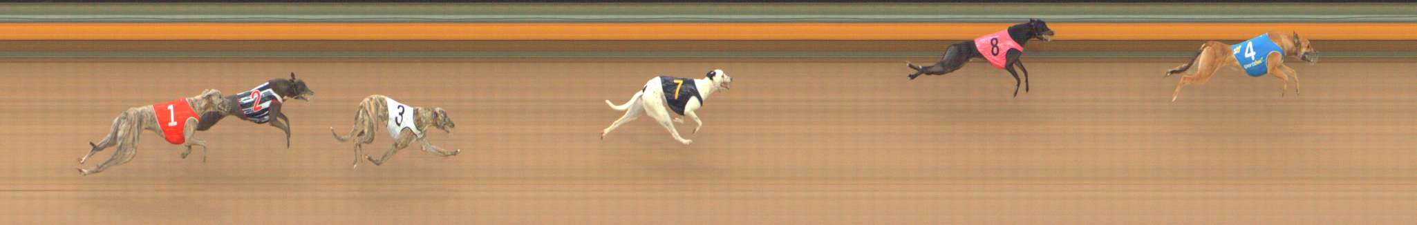 Photo finish for Bendigo Race 11