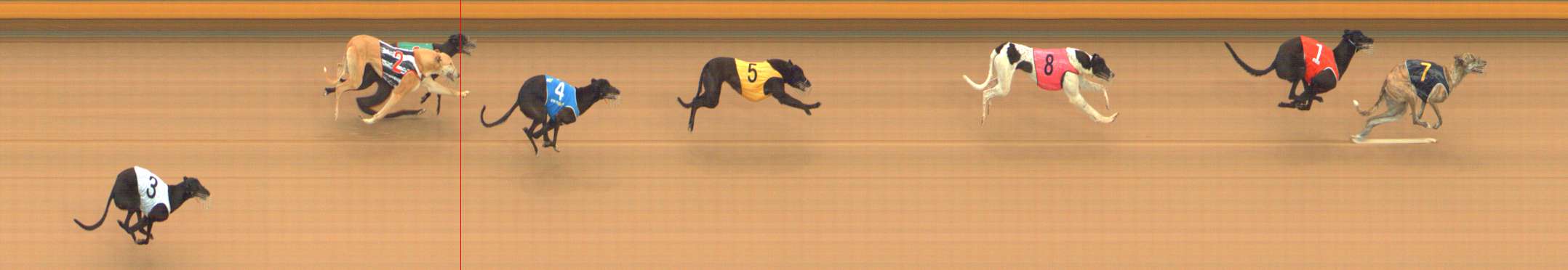 Photo finish for Bendigo Race 12