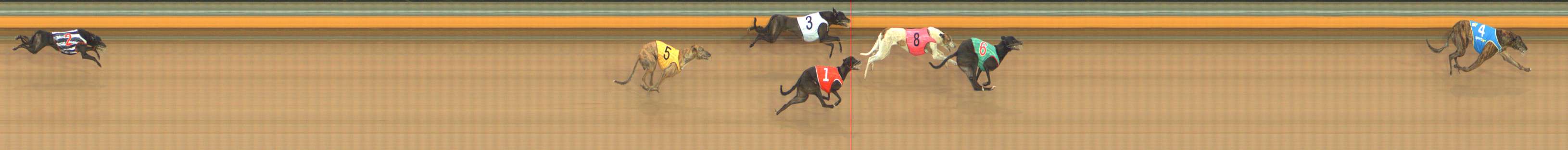Photo finish for Bendigo Race 13