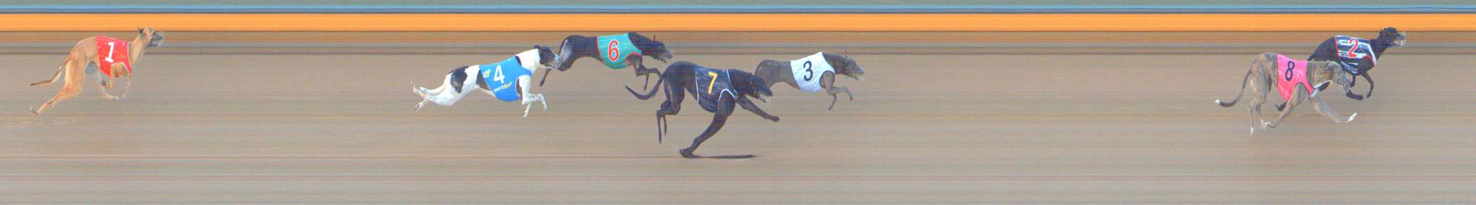 Photo finish for Bendigo Race 1