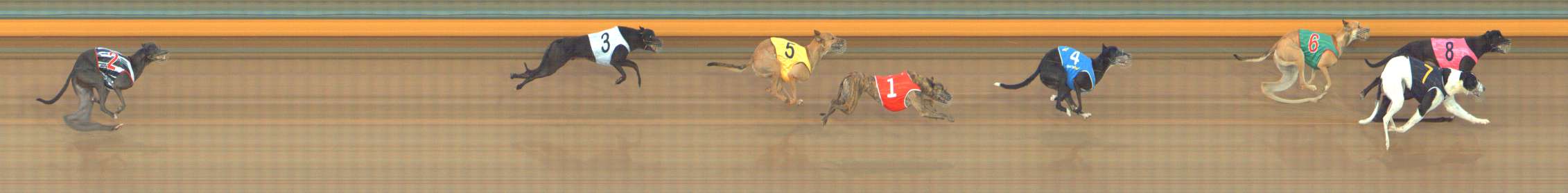 Photo finish for Bendigo Race 2