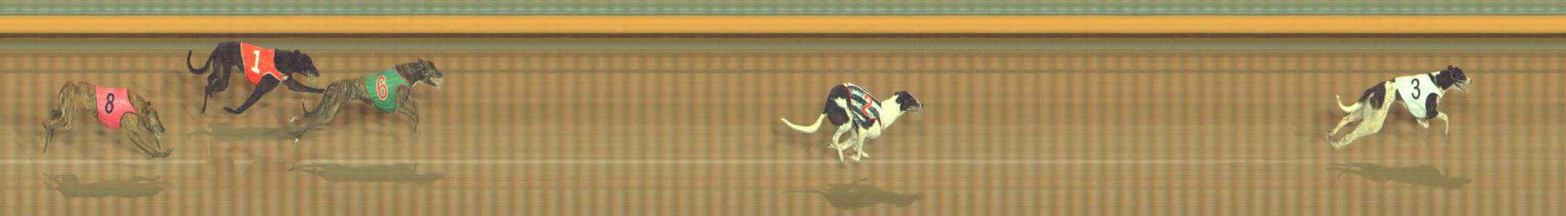 Photo finish for Bendigo Race 5