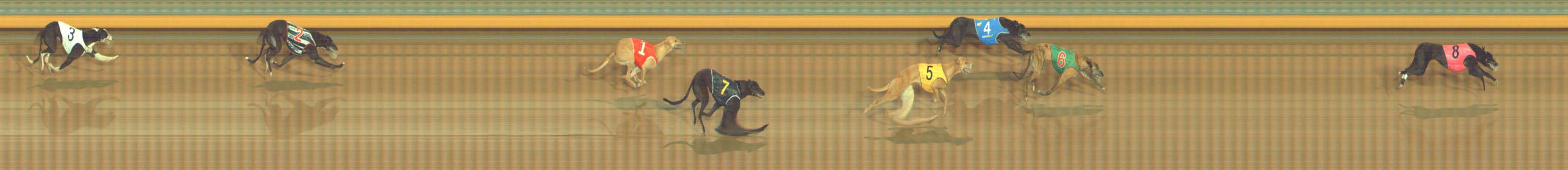Photo finish for Bendigo Race 6