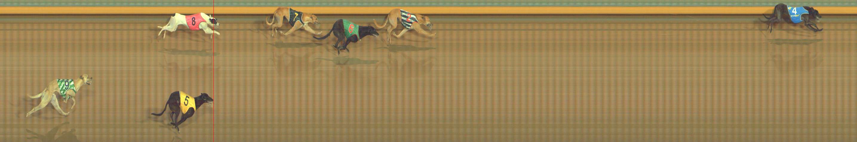 Photo finish for Bendigo Race 8
