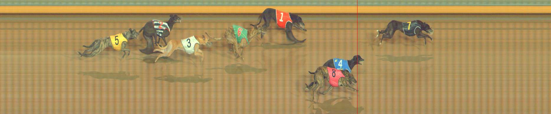 Photo finish for Bendigo Race 10