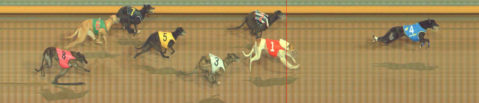 Photo finish for Bendigo Race 11