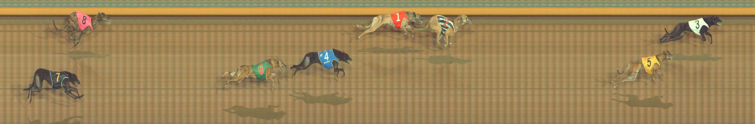 Photo finish for Bendigo Race 12