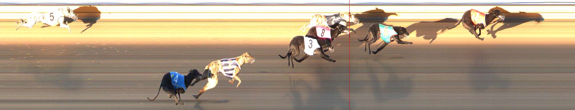 Photo finish for Bendigo Race 1