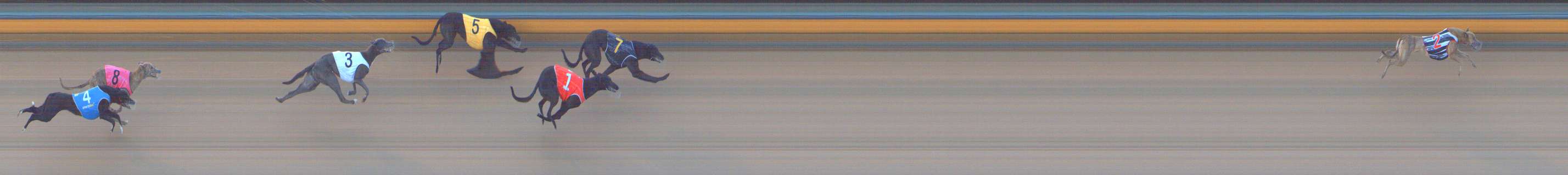 Photo finish for Bendigo Race 2