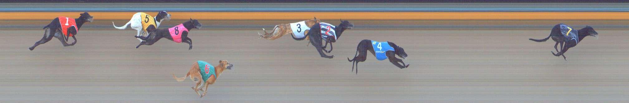 Photo finish for Bendigo Race 3