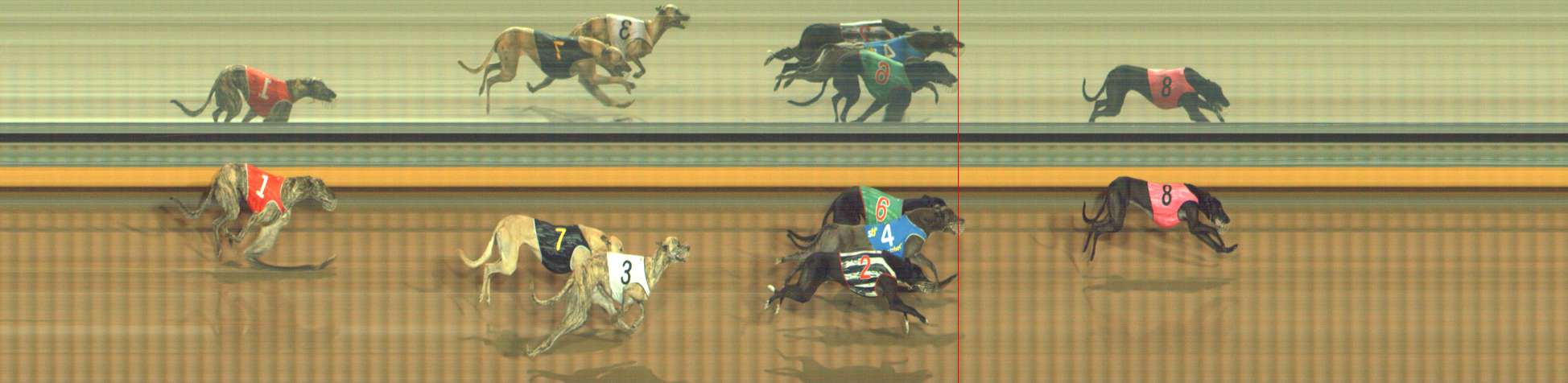 Photo finish for Bendigo Race 6