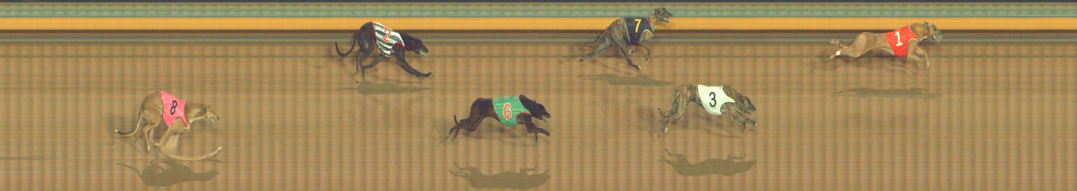 Photo finish for Bendigo Race 7