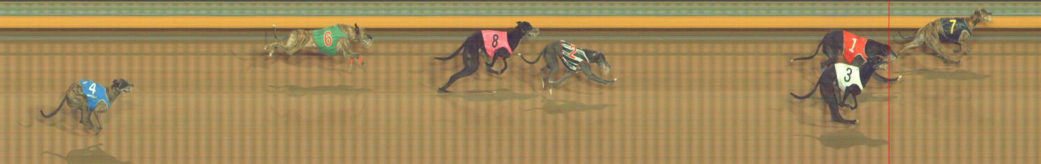 Photo finish for Bendigo Race 8