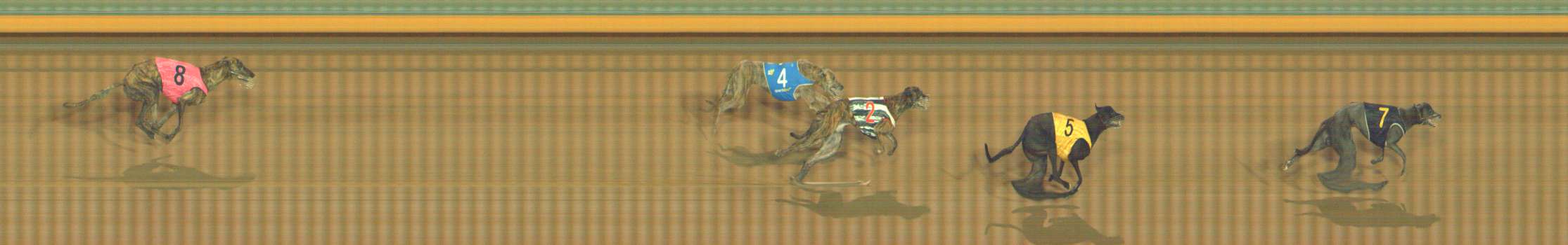 Photo finish for Bendigo Race 9