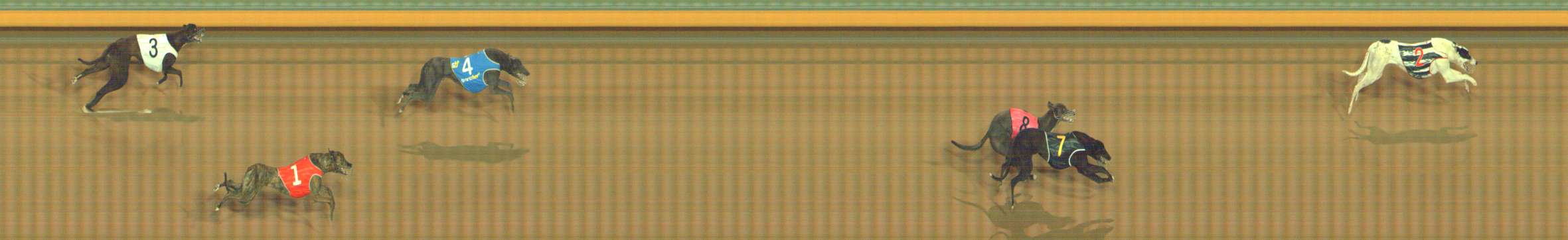 Photo finish for Bendigo Race 10