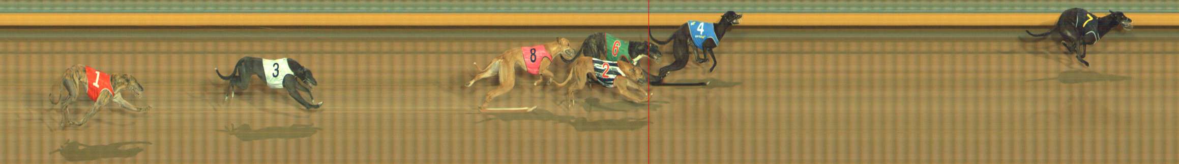 Photo finish for Bendigo Race 12