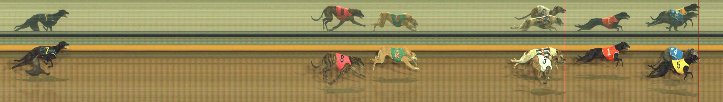 Photo finish for Bendigo Race 13