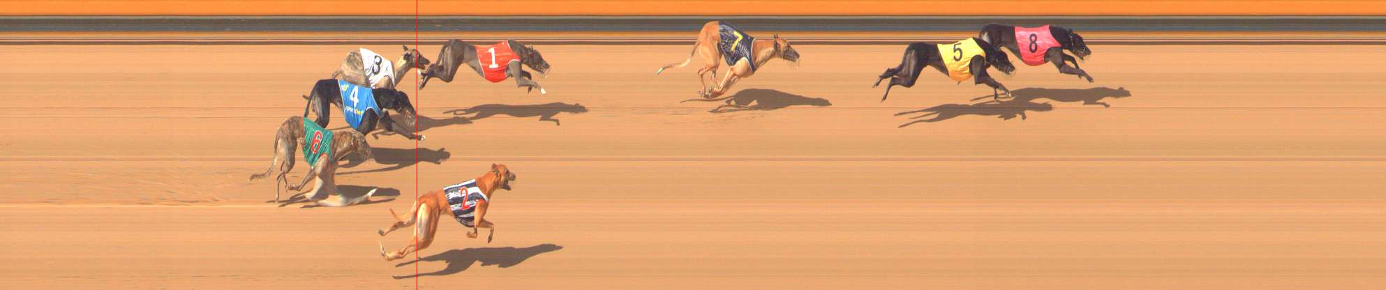 Photo finish for Bendigo Race 6