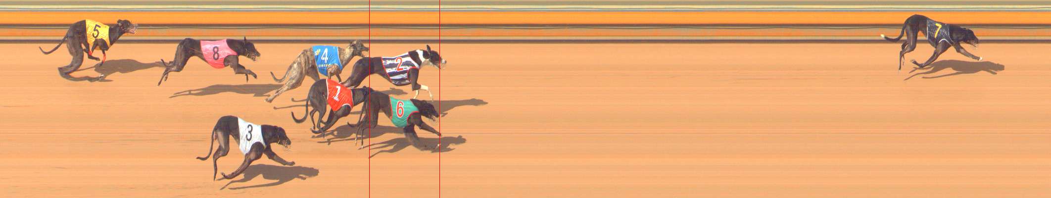 Photo finish for Bendigo Race 7