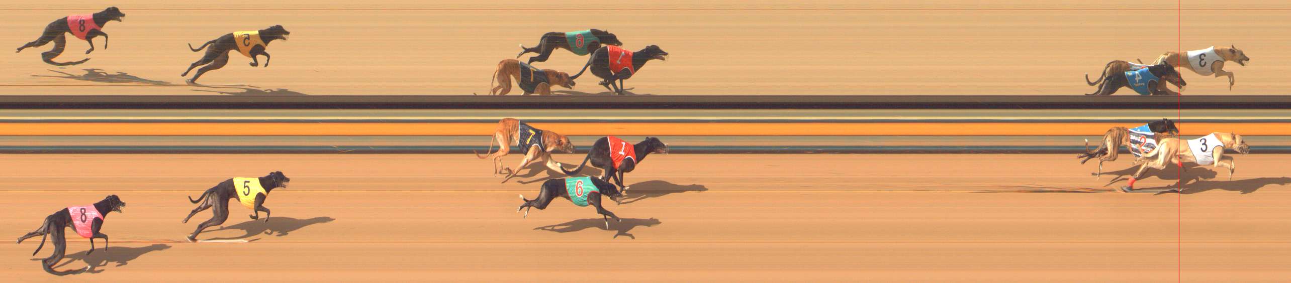 Photo finish for Bendigo Race 8