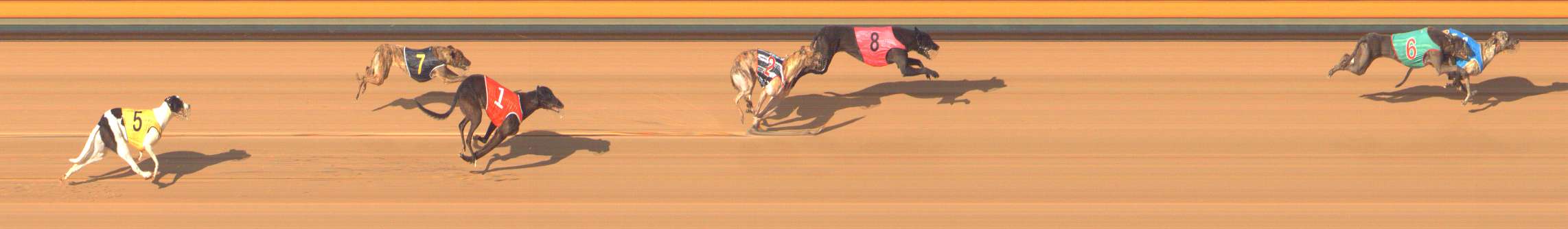 Photo finish for Bendigo Race 9