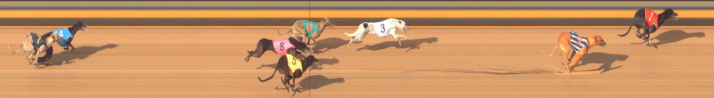 Photo finish for Bendigo Race 10