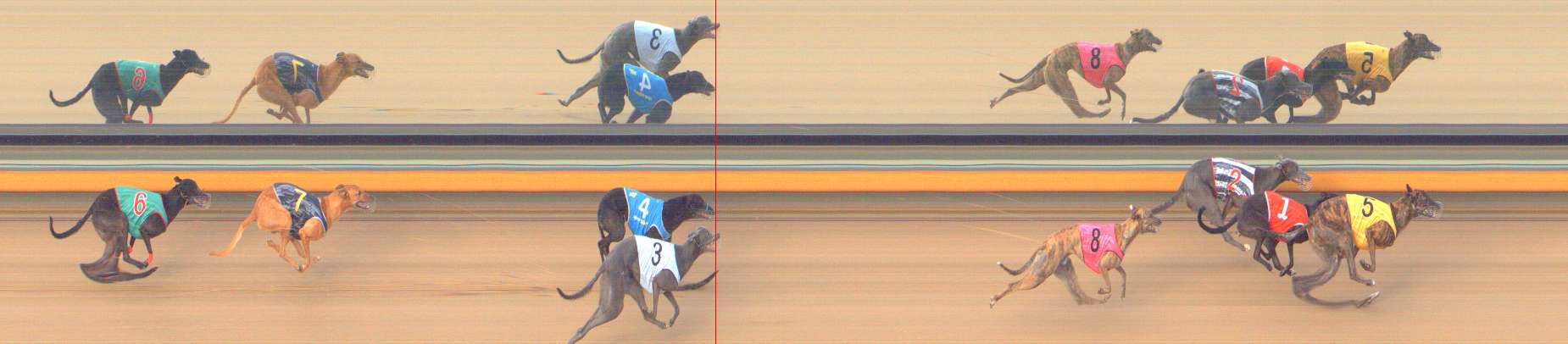 Photo finish for Bendigo Race 12