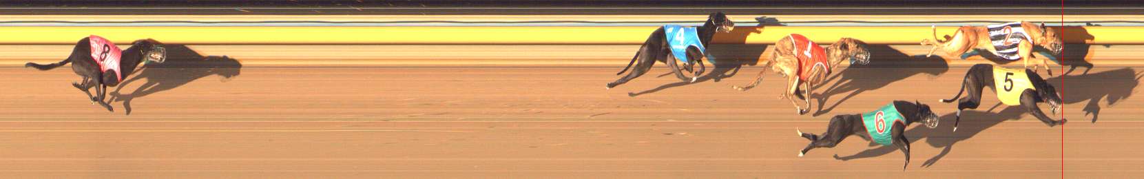 Photo finish for Bendigo Race 13