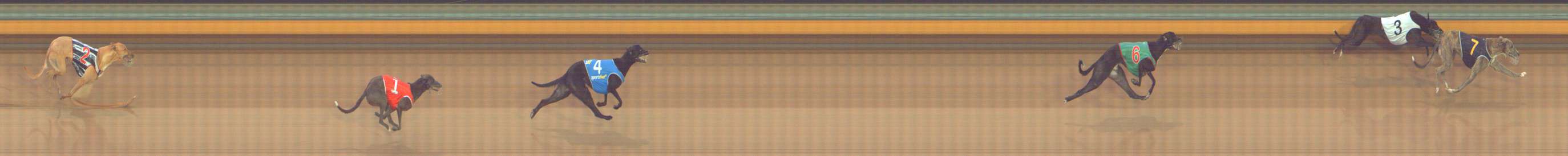 Race result finish photo