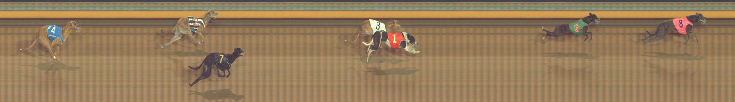 Race result finish photo