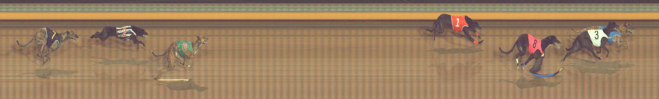 Photo finish for Bendigo Race 10
