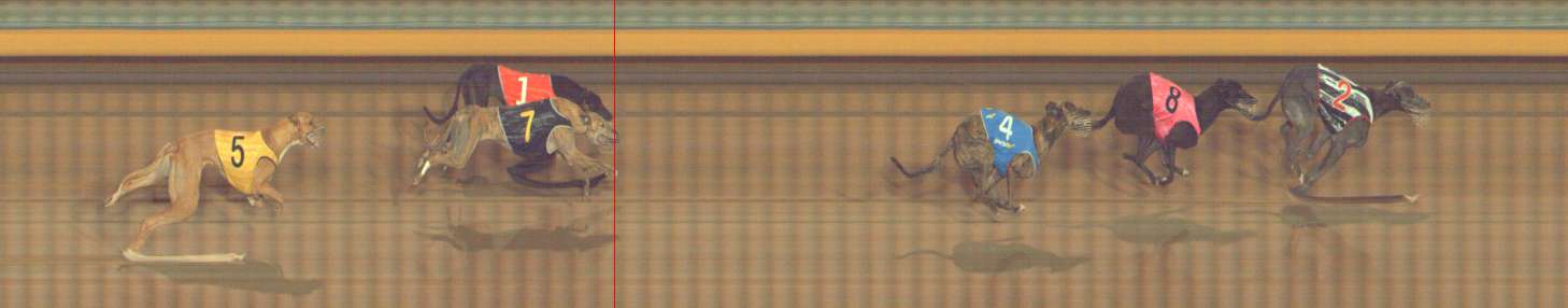 Photo finish for Bendigo Race 11
