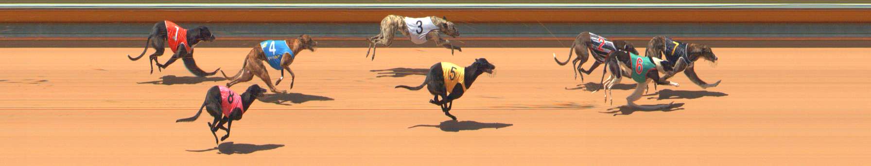 Race result finish photo