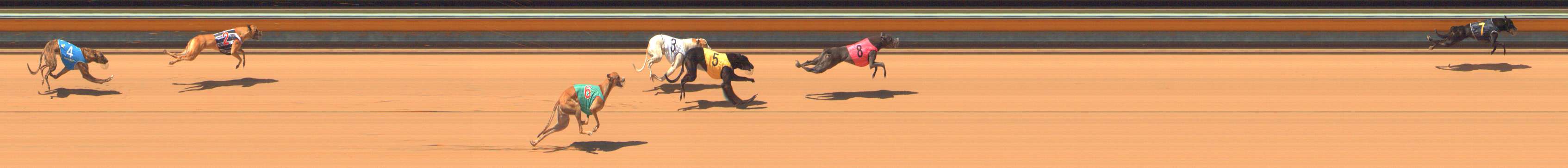 Photo finish for Bendigo Race 2