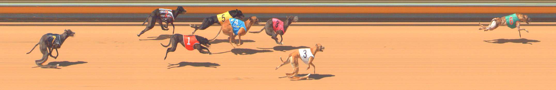 Photo finish for Bendigo Race 3