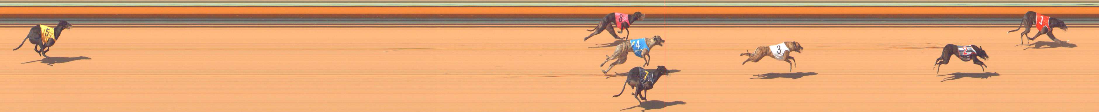 Photo finish for Bendigo Race 5