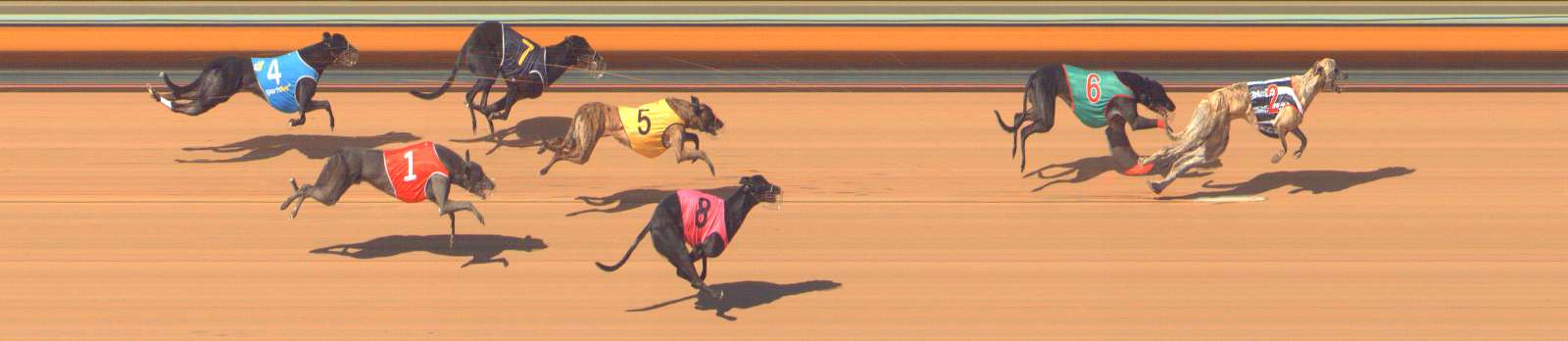 Photo finish for Bendigo Race 7