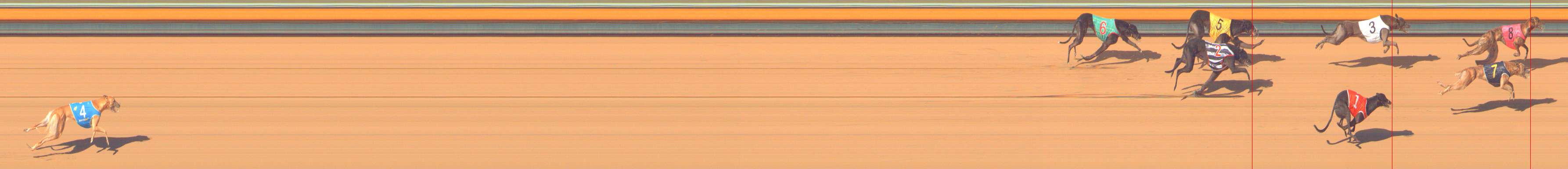 Photo finish for Bendigo Race 8