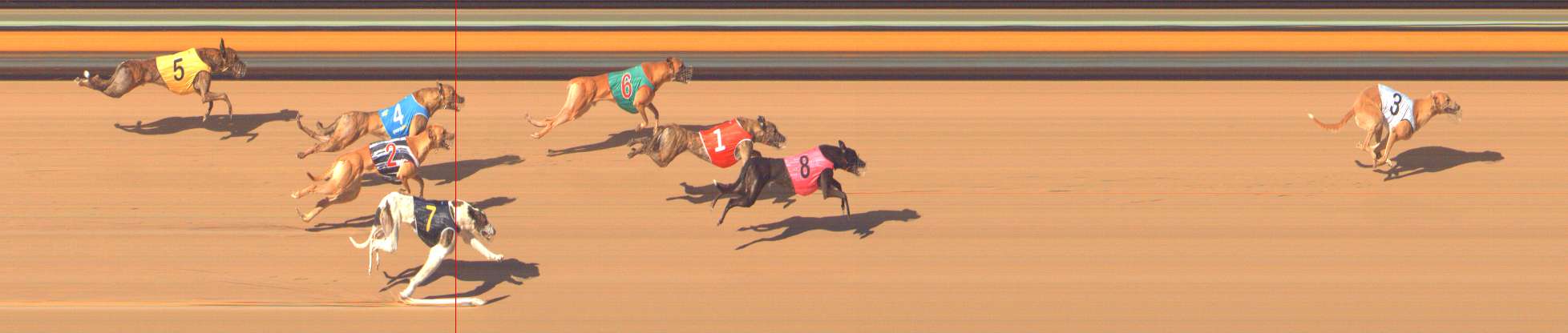 Photo finish for Bendigo Race 9