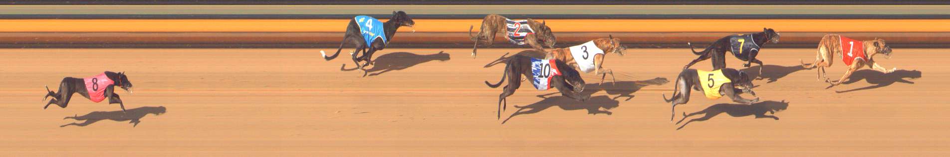 Photo finish for Bendigo Race 10