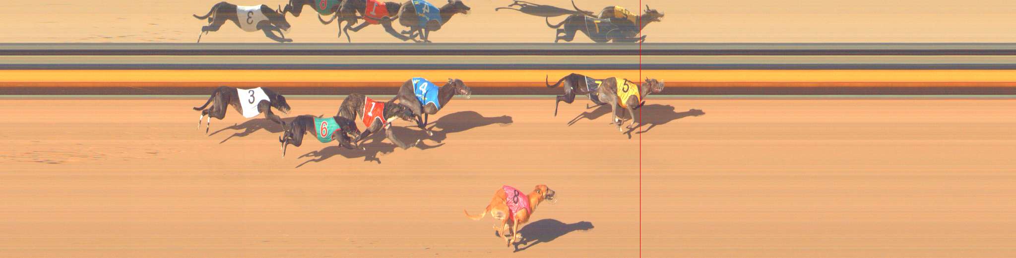 Photo finish for Bendigo Race 11
