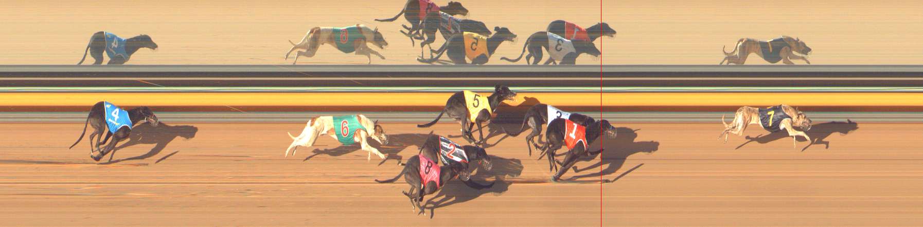 Photo finish for Bendigo Race 13