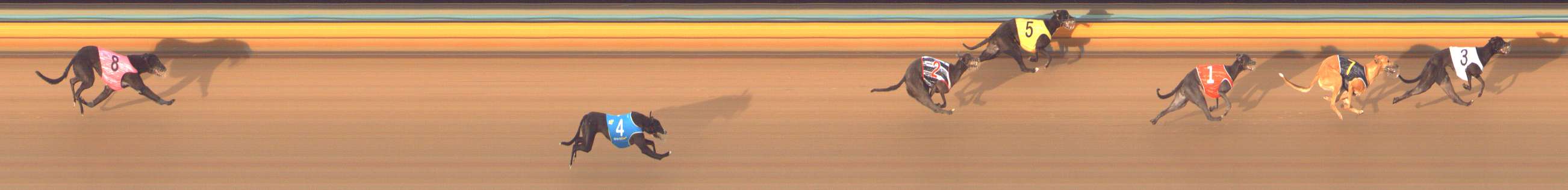 Race result finish photo