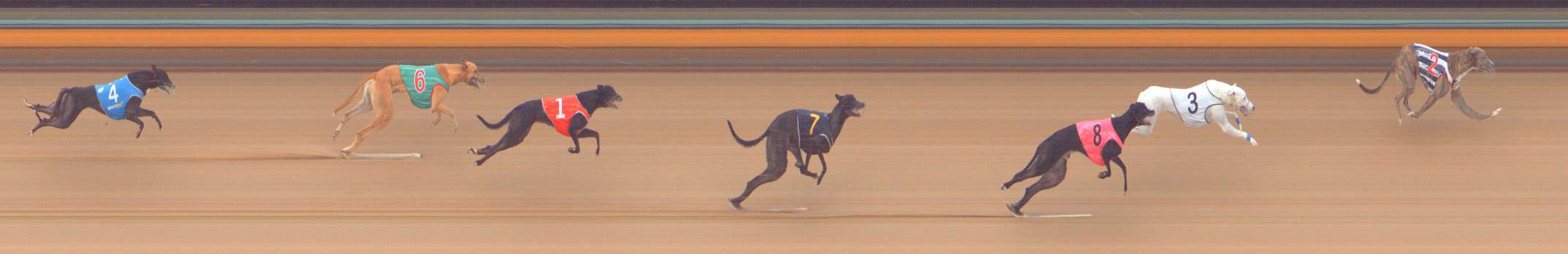 Photo finish for Bendigo Race 2