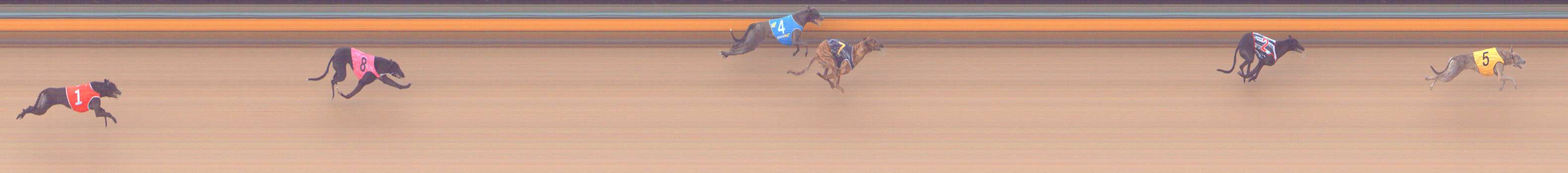Photo finish for Bendigo Race 3