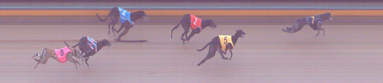 Photo finish for Bendigo Race 4
