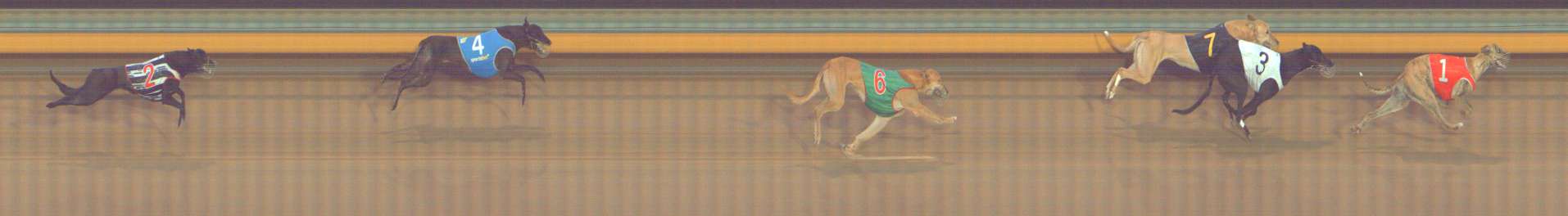 Photo finish for Bendigo Race 5