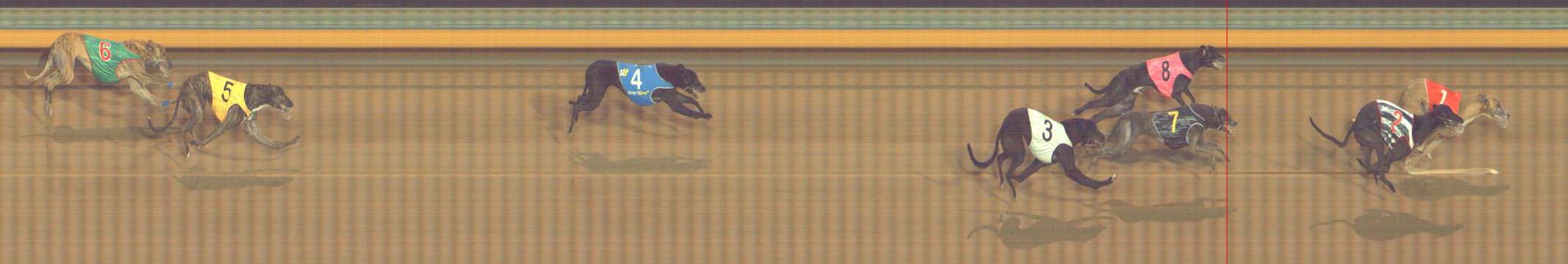 Photo finish for Bendigo Race 6
